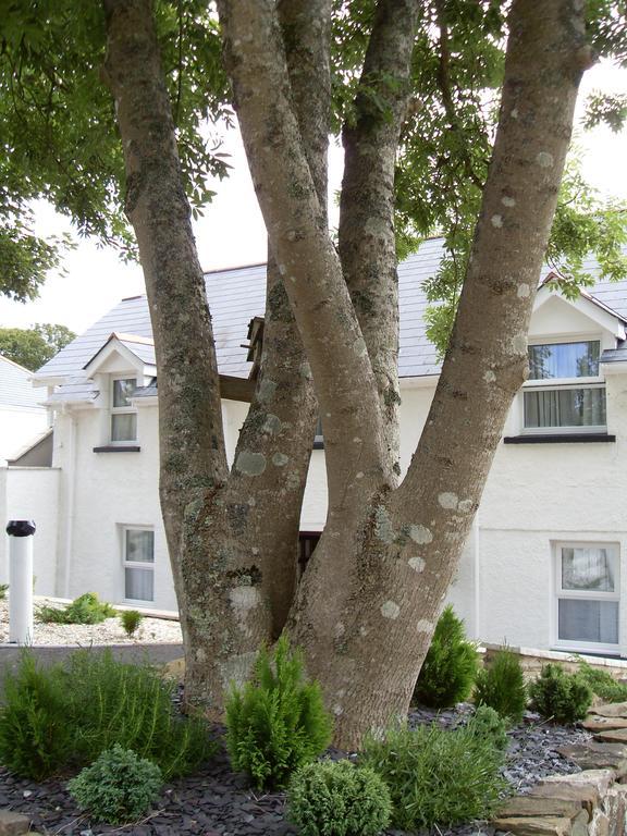 Beggars Reach Hotel Pembroke Dock Exteriör bild