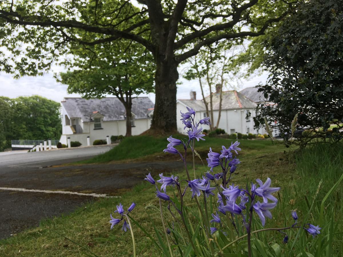Beggars Reach Hotel Pembroke Dock Exteriör bild